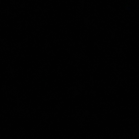 they_hatee21
